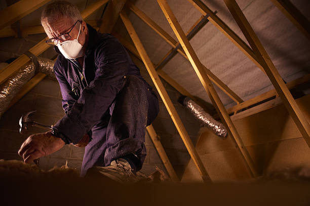 Best Insulation Maintenance and Repair in Whitney Point, NY